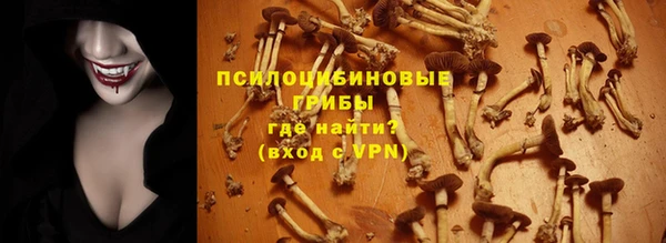 дурь Алексеевка